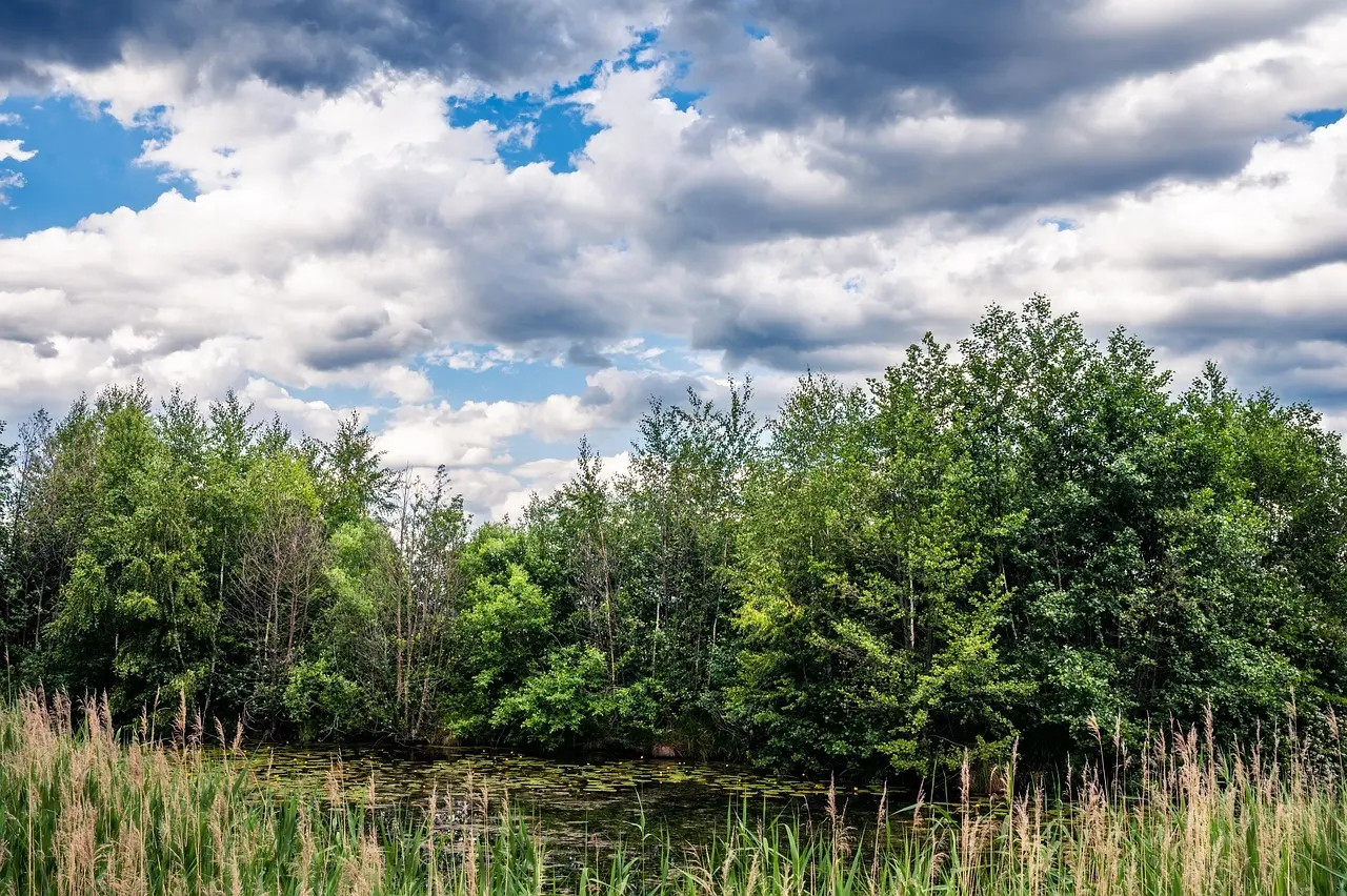 Sø Svar til krydsord