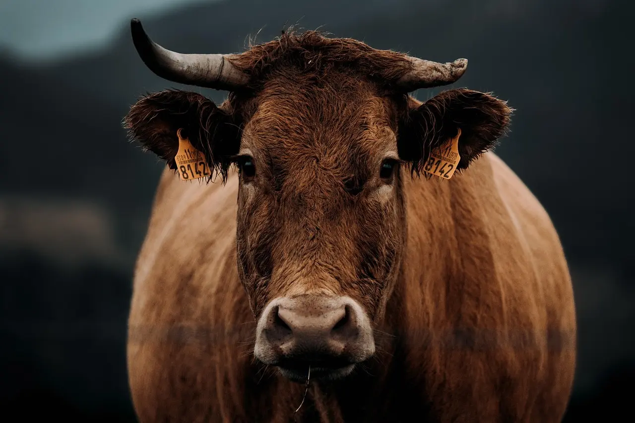 Hvordan virker CO2-afgiften for landbruget?