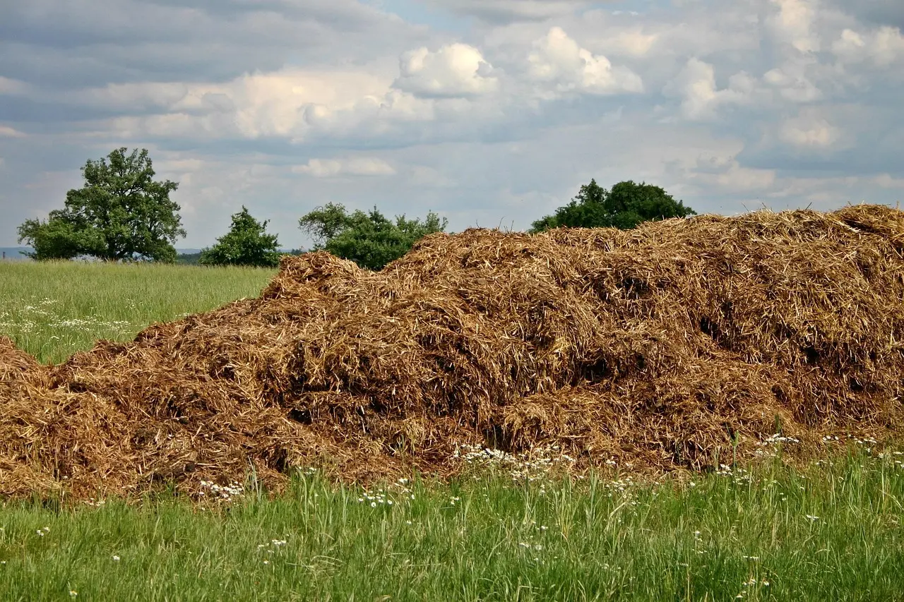 Er biogas klimaneutral gennem hele livscyklussen?