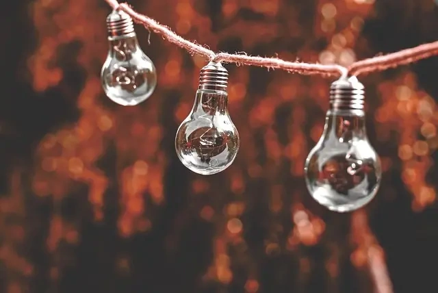 Bæredygtigt landbrug: Hvordan kan vi producere mad uden at ødelægge miljøet?