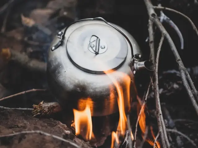 Elkedel eller induktion: Hvad er billigst til en kop te?