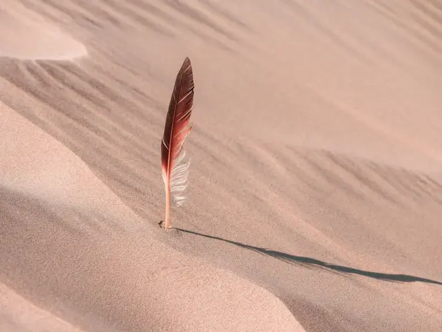 Erosion langs Jyllands vestkyst: fremskrivning til 2100