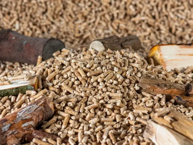 Hvilket kattegrus er mest bæredygtigt i en lejlighed?