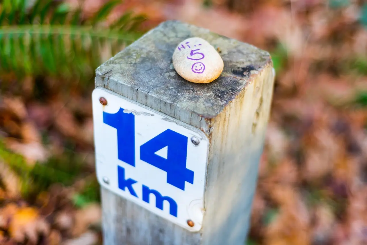 Hvor meget CO2 sparer cyklen i forhold til bilen på 5 km om dagen?