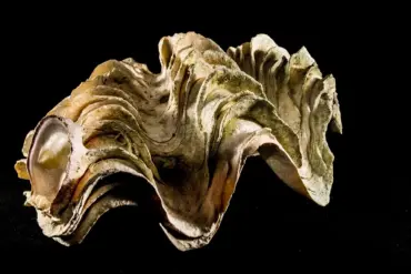 7 usikkerheder i danske klimafremskrivninger