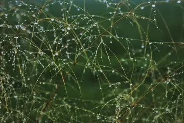 7 energivaner, der sparer strøm på induktionskomfuret