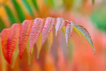 6 energisparevaner, når du bager